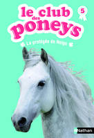 5, Le club des poneys - Tome 5, La protégée de Neige