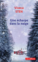 Une écharpe dans la neige