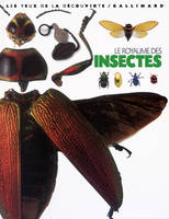 Le royaume des insectes