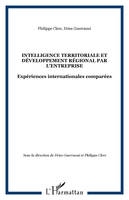Intelligence territoriale et développement régional par l'entreprise, Expériences internationales comparées