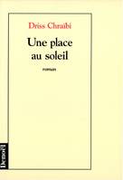 Une place au soleil, roman