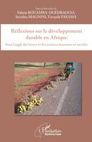 Réflexions sur le développement durable en Afrique, Sous l'angle des lettres et des sciences humaines et sociales