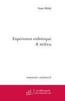 Expérience esthétique & milieu