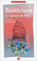 Le spleen de Paris