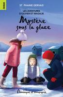 Mystère sous la glace - Niveau de lecture 6