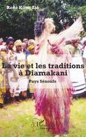 La vie et les traditions à Diamakani, Pays sénoufo