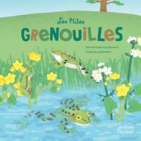 Les P'tites Grenouilles, La vie d'un amphibien