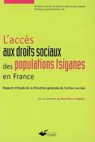 L'accès aux droits sociaux des populations tsiganes en France, rapport d'étude de la Direction générale de l'action sociale