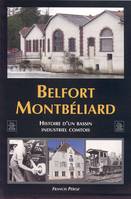 Belfort Montbéliard, histoire d'un bassin industriel comtois