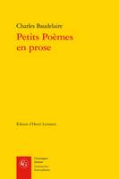 Petits Poèmes en prose, Le Spleen de Paris