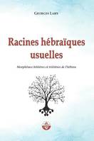 Racines hébraïques usuelles, Morphèmes bilitères et trilitères de l'hébreu