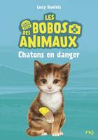 Les bobos des animaux, 1, Chatons en danger