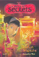 La maison des secrets, 3, L'Espion surprise, La Maison des secrets, tome 3