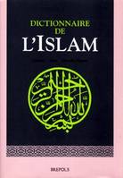 Dictionnaire de l'Islam, Histoire, idées, grandes figures