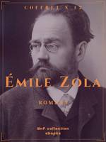 Coffret Émile Zola, Romans