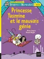 Dragons et merveilles, Princesse Yasmine et le mauvais génie