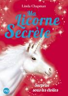 Ma licorne secrète, 4, Surprise sous les étoiles