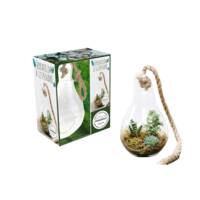 Coffret Ampoule terrarium