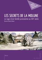 Les Secrets de la molune, La saga d'une famille jurassienne au XIXe siècle