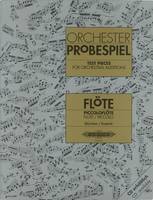 Orchester Probespiel Flöte/Piccoloflöte, Klangbeispiele wichtiger Passagen aus der Opern- und Konzertliteratur