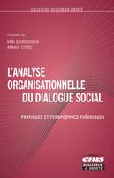 L'analyse organisationnelle du dialogue social, Pratiques et perspectives théoriques