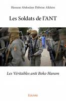 Les Soldats de l’ANT, Les Véritables anti Boko Haram