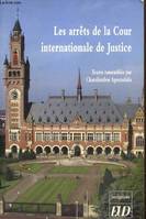 Les arrets de la cour internationale de justice