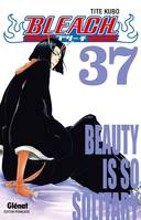 Bleach - Tome 37, Beauty is so solitary