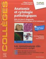 Anatomie et cytologie pathologiques, Rôle clé dans le diagnostic, l'évaluation pronostique et le traitement