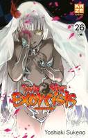 Twin Star Exorcists T26