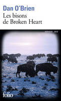 Les bisons de Broken Heart