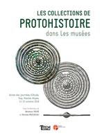 Les collections de protohistoire dans les musées, Actes des journées d'étude organisée par l'association musées méditerrannée dans le cadre du projet collectif de recherche sépultures de l'âge du fer dans les alpes du sud