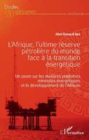 L'Afrique, l'ultime réserve pétrolière du monde face à la transition énergétique, Un zoom sur les matières premières minérales énergétiques et le développement de l'afrique