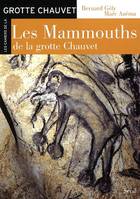 Arts rupestres Les Mammouths de la grotte Chauvet