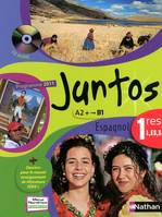 Juntos 1re L, ES, S 2011 + cd - format compact