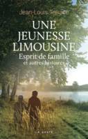 Une jeunesse limousine, Esprit de famille et autres histoires