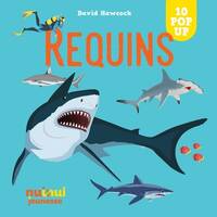 Saisissants pop-up - Requins