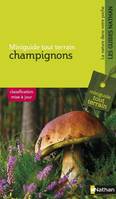 Les champignons