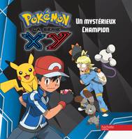 Pokémon, la série XY, 4, Pokemon - Un mystérieux champion