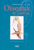 Oiseaux de Galarne