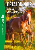 10, L'Etalon Noir NED 10 -  Flamme cheval sauvage