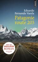 Points Patagonie route 203