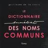 DICTIONNAIRE IMMEDIAT DES NOMS COMMUNS (LE)