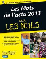 Les mots de l'Actu 2013 Pour les Nuls