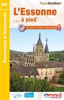 L'ESSONNE A PIED: ref D091 [Paperback] COLLECTIF, ref D091