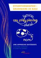 Dysorthographie : grammaire de base