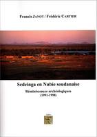 Sedeinga en Nubie soudanaise, Réminiscences archéologiques (1991-1998)