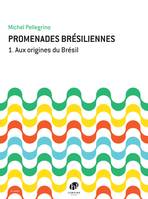 Promenades brésiliennes Vol. 1, Aux origines du Brésil