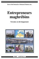 Entrepreneurs maghrébins, Terrains en développement