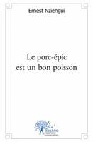 Le porc-épic est un bon poisson, roman